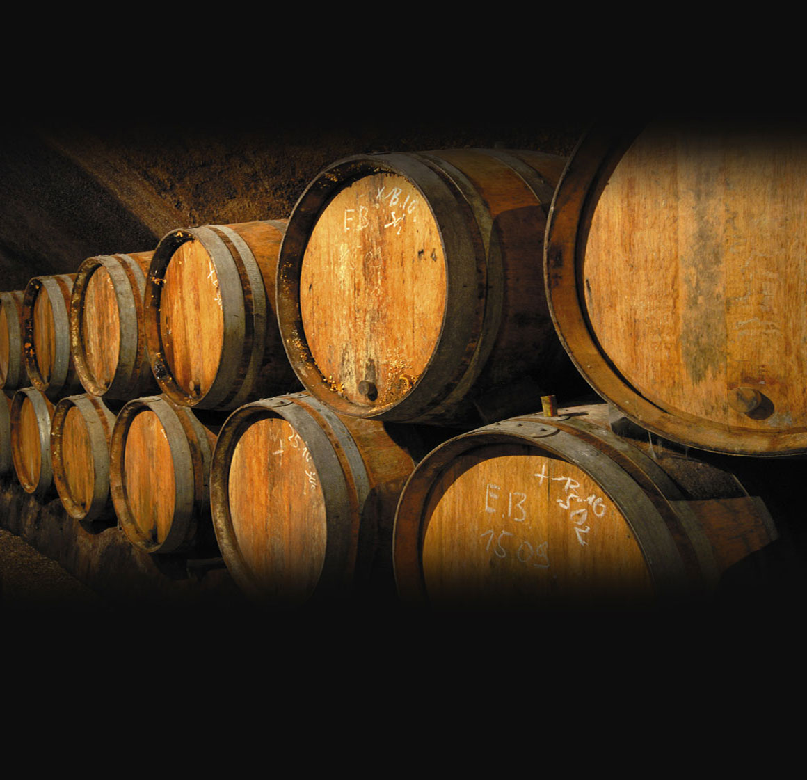 Wine Barrels